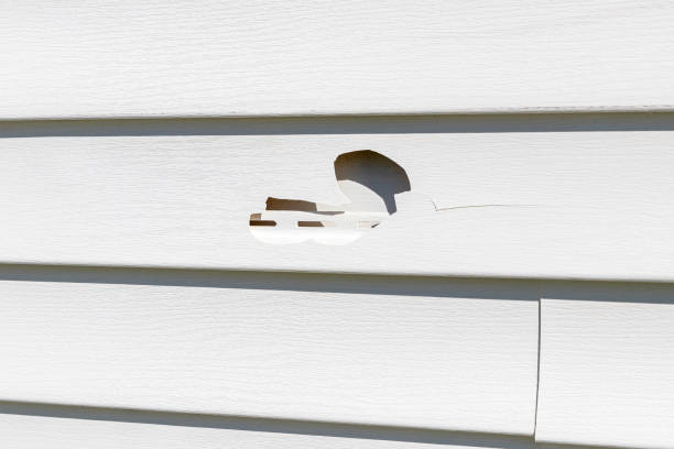 Best Siding for New Construction  in Joshua Tree, CA