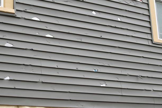 Best Siding Painting and Refinishing  in Joshua Tree, CA